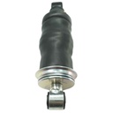 Cabin Shock Absorber RE