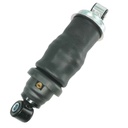 Cabin Shock Absorber RE