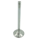 Engine Intake Valve