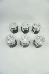 [1000076563] Piston
