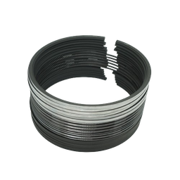 [612600030054] Piston Ring Kit