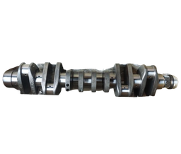 [1006462630] Crankshaft